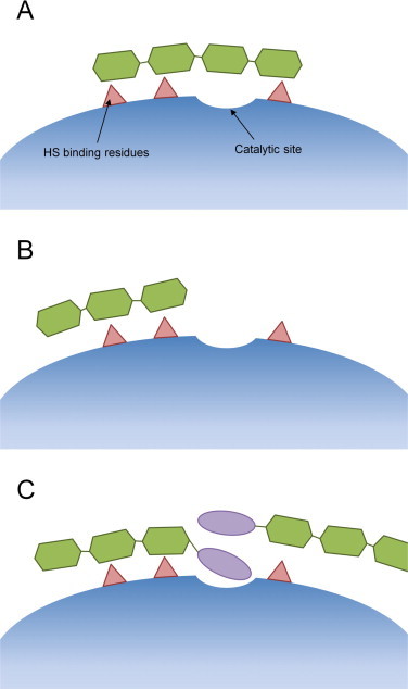 Fig. 5