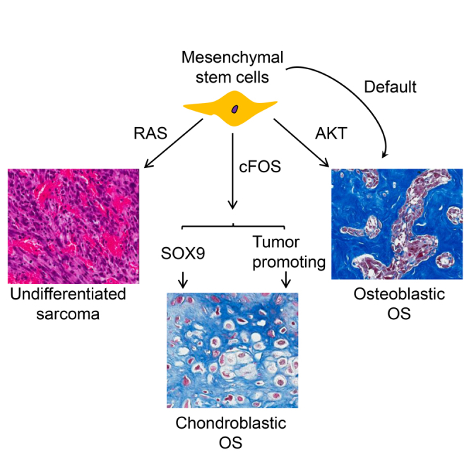 graphic file with name fx1.jpg