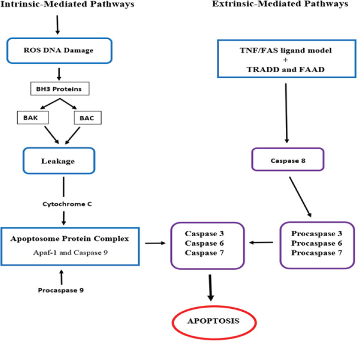 Figure 3: