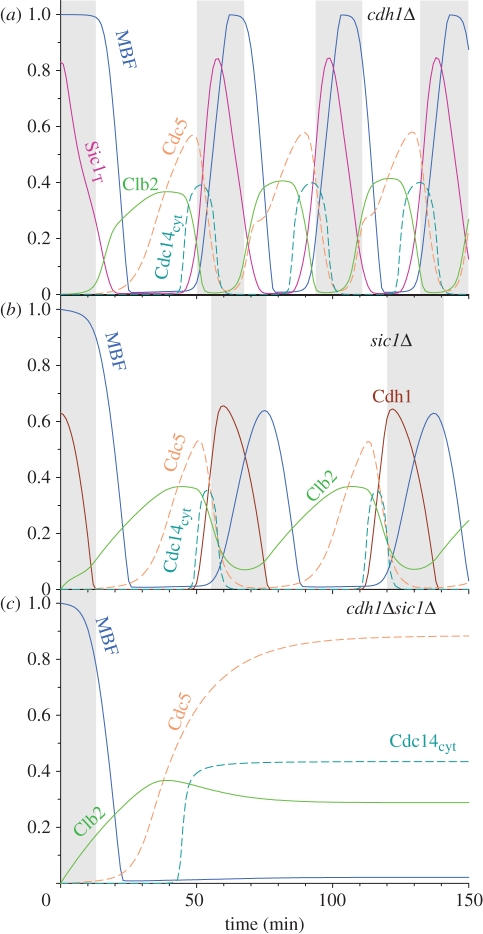 Figure 3.