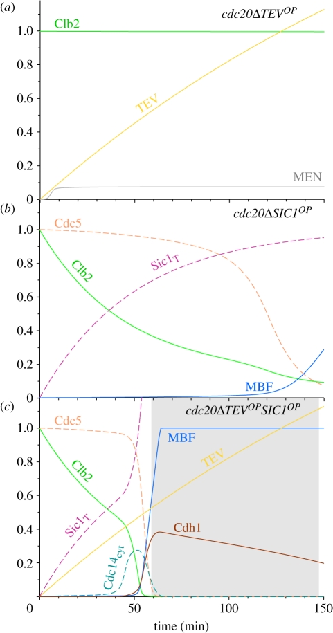 Figure 5.