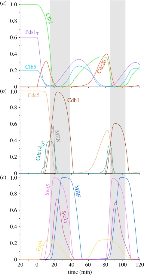 Figure 2.