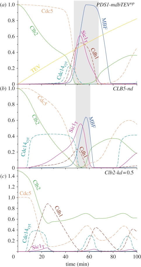 Figure 6.