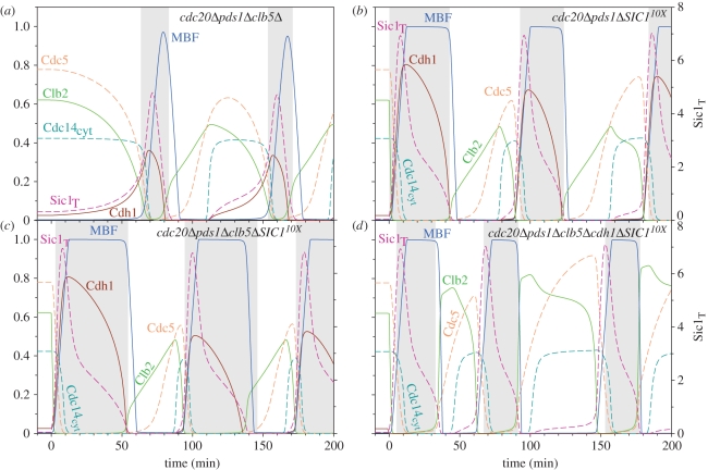 Figure 4.