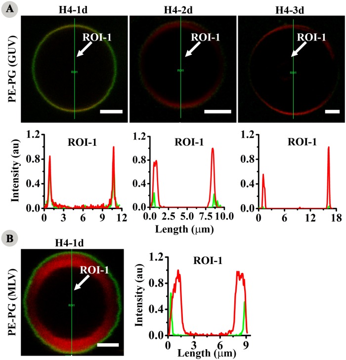 Fig 8