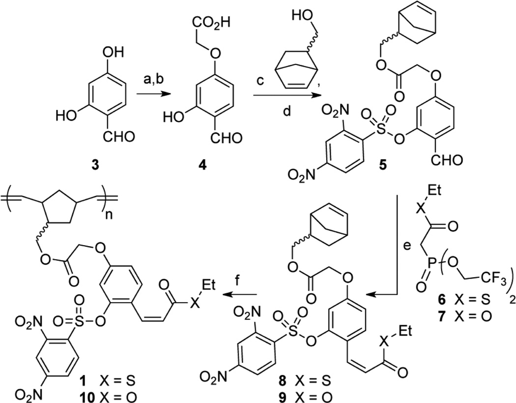 Scheme 1