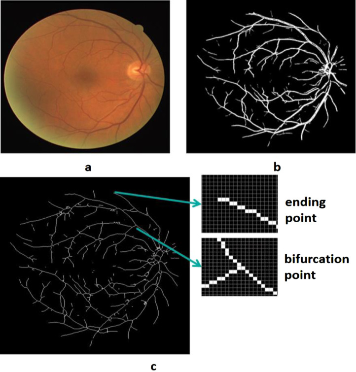 Fig 3: