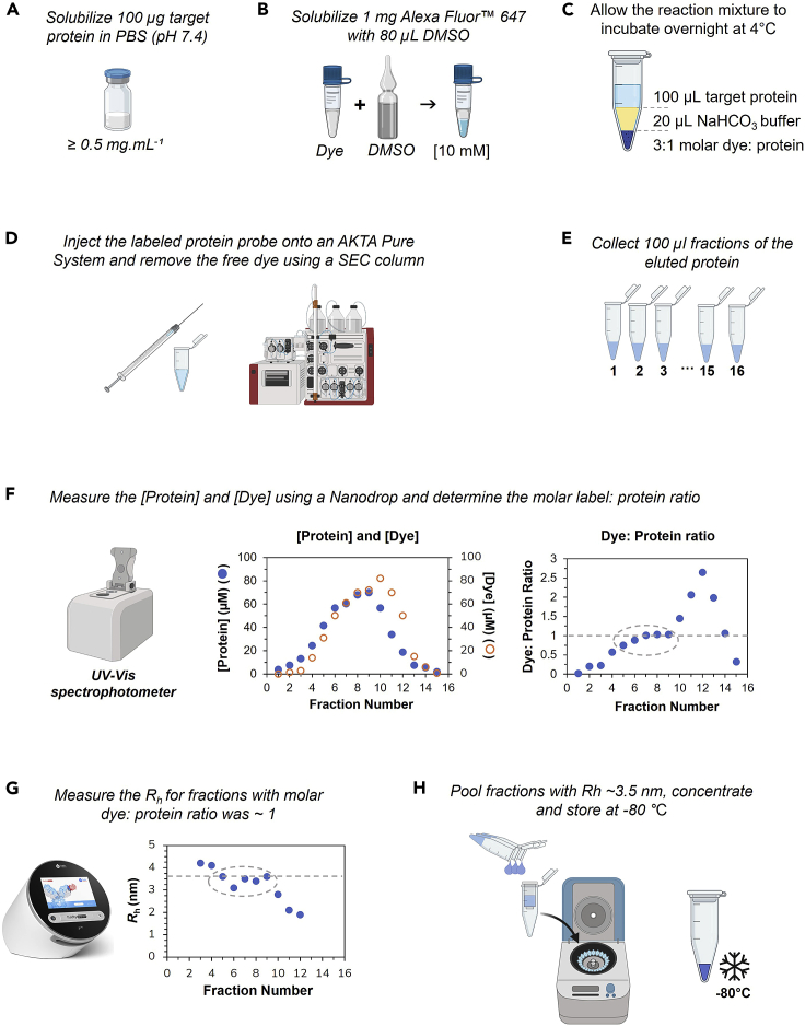 Figure 1