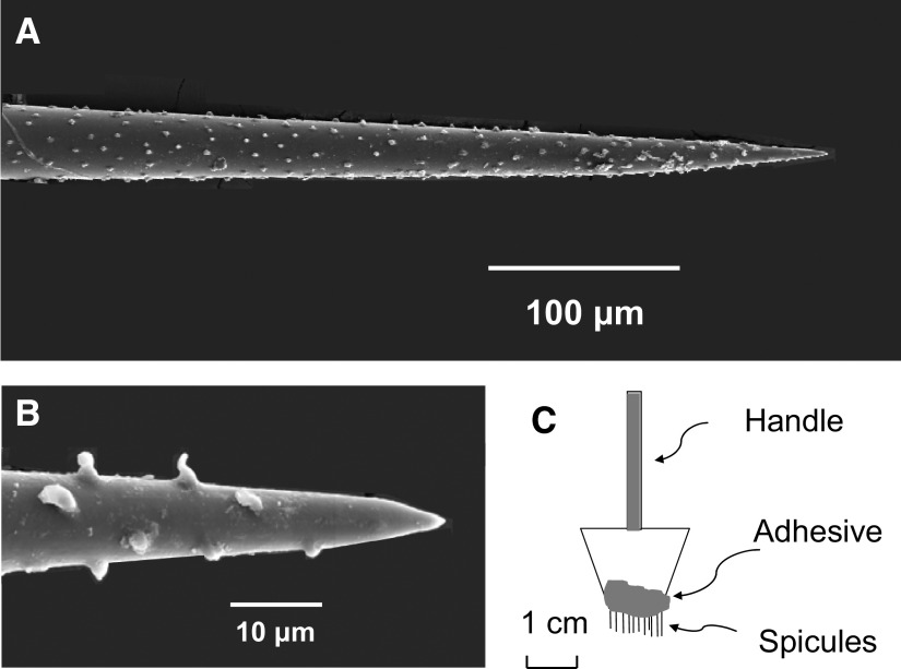 FIG. 1.