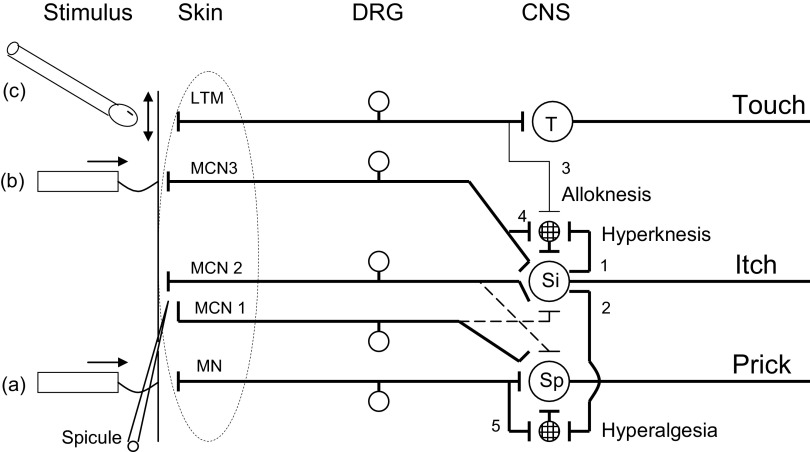 FIG. 10.