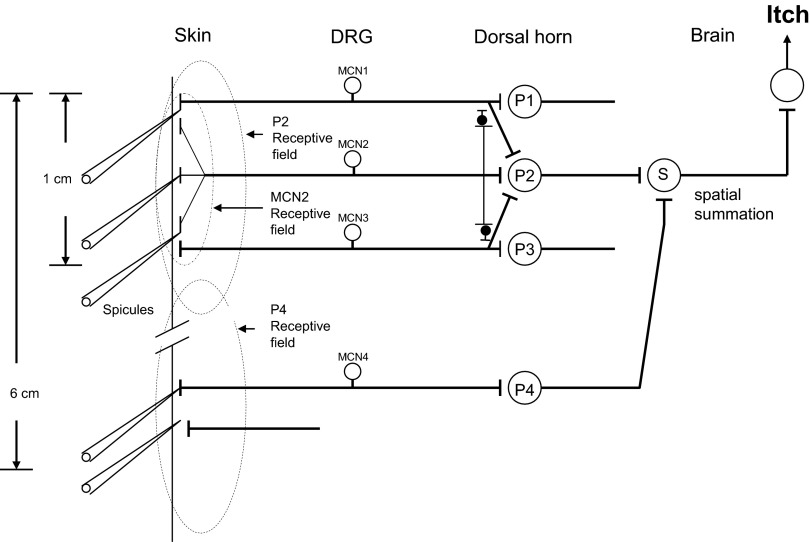 FIG. 9.