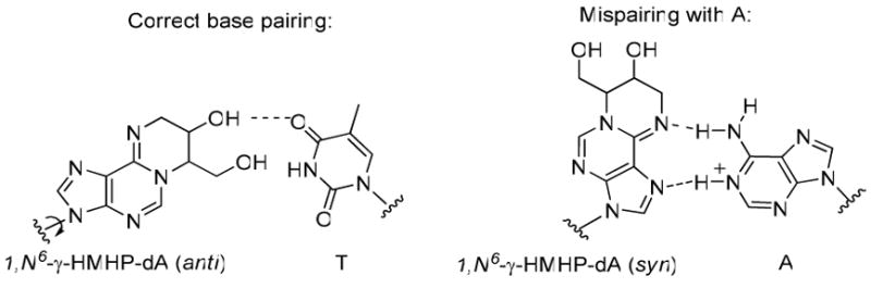 Scheme 3