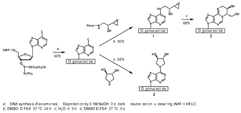 Scheme 2