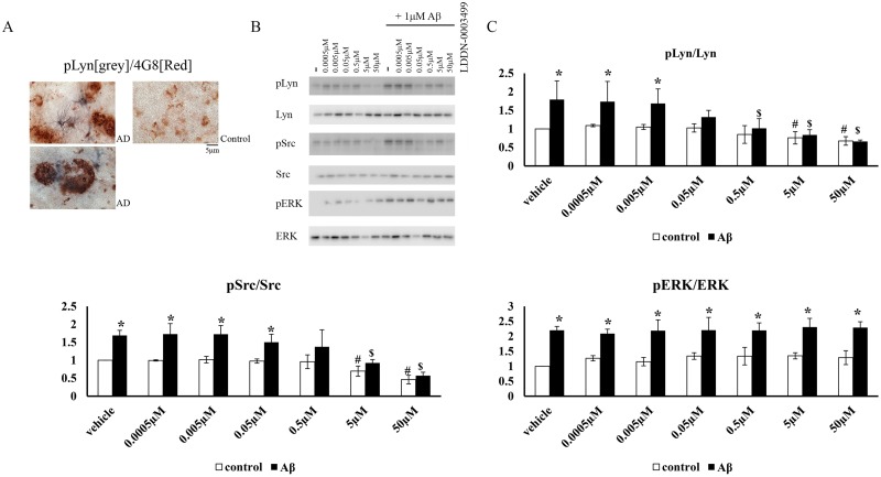 Fig 7