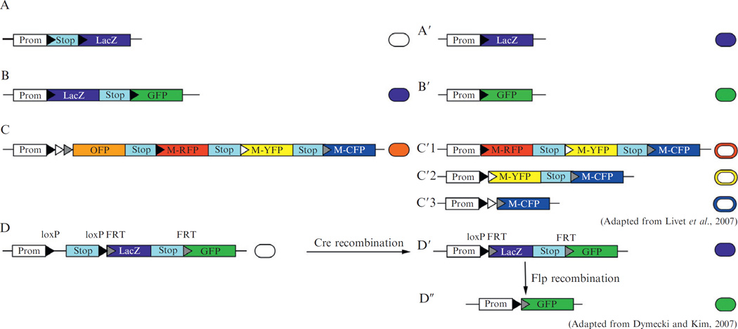 Figure 10.3