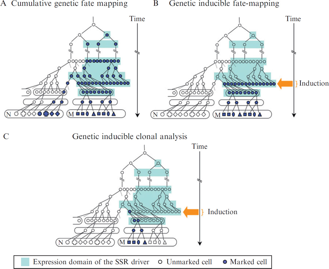 Figure 10.1