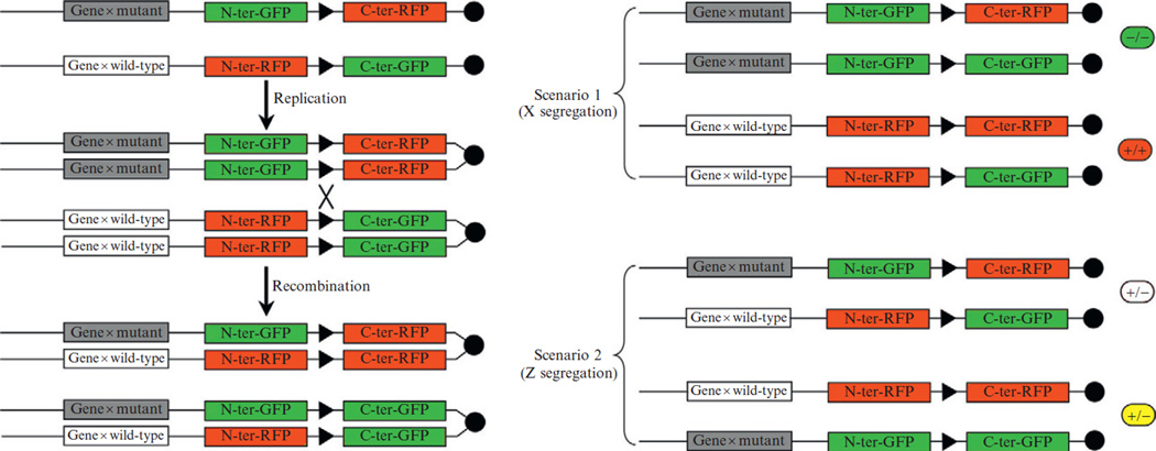 Figure 10.4