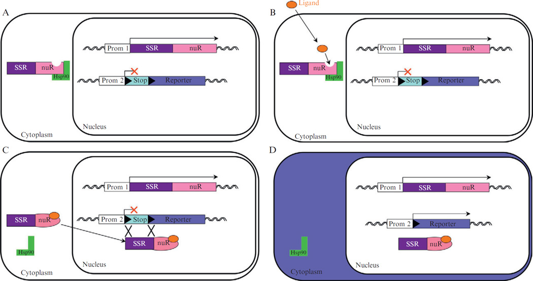 Figure 10.2