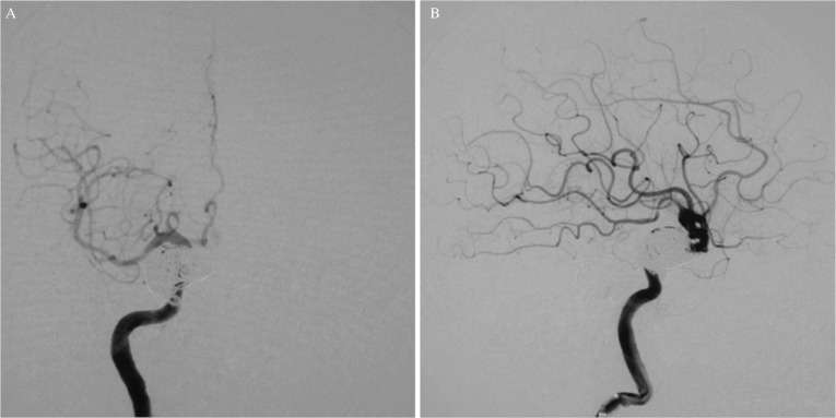 Fig. 8.