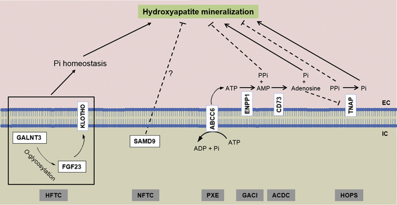 Figure 2