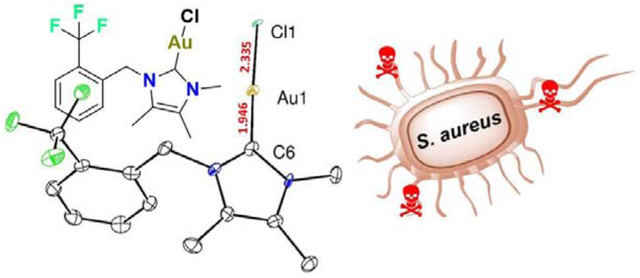graphic file with name nihms-1663949-f0001.jpg