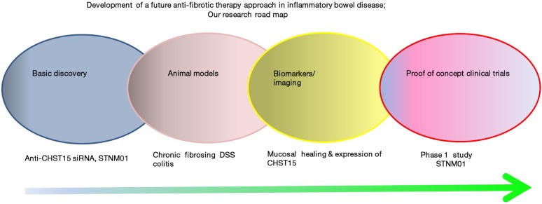 New Endoscopic Approach Of Anti-fibrotic Therapy For Inflammatory Bowel 