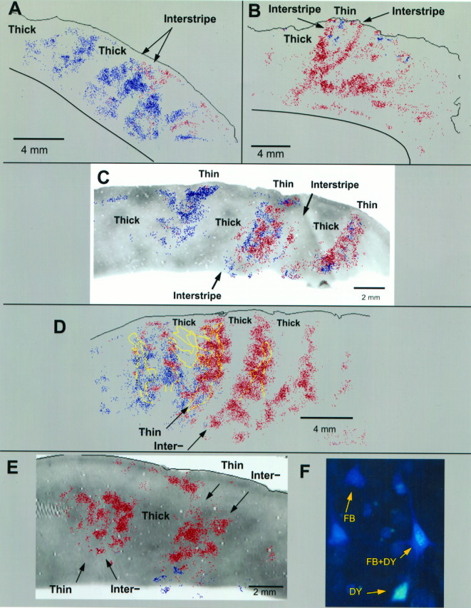 Fig. 2.