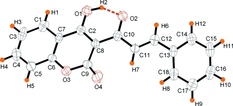 Fig. 1.