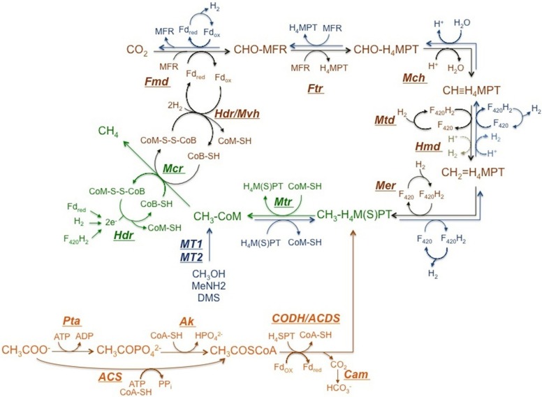 FIGURE 2