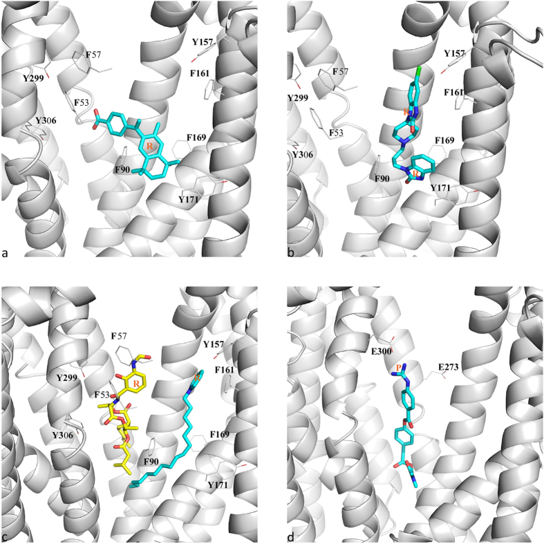 Figure 7