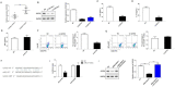 Fig. 3: