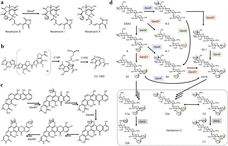 Fig. 2