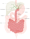 Fig. 5 |