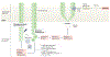Fig. 4 |