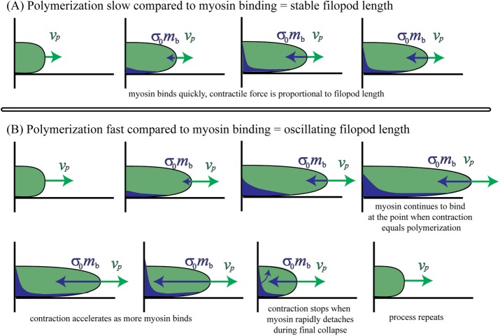 FIGURE 9: