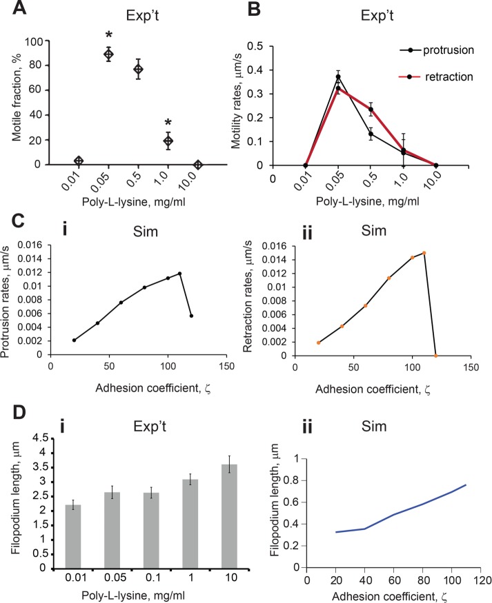 FIGURE 7: