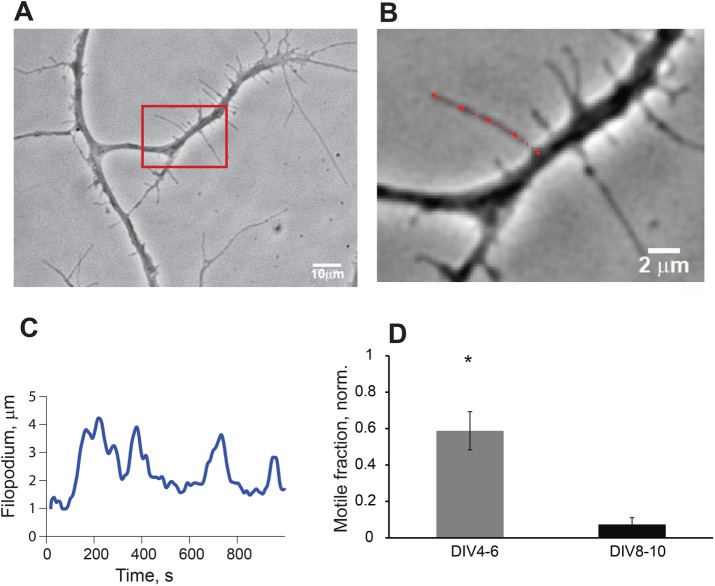 FIGURE 1: