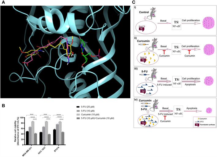 Figure 6