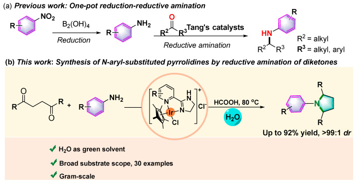 Scheme 2