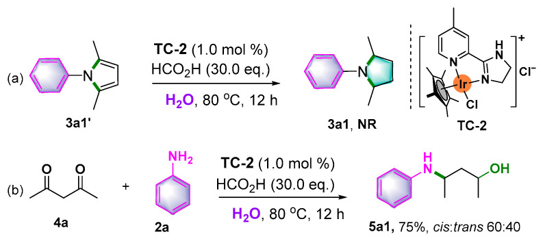 Scheme 6