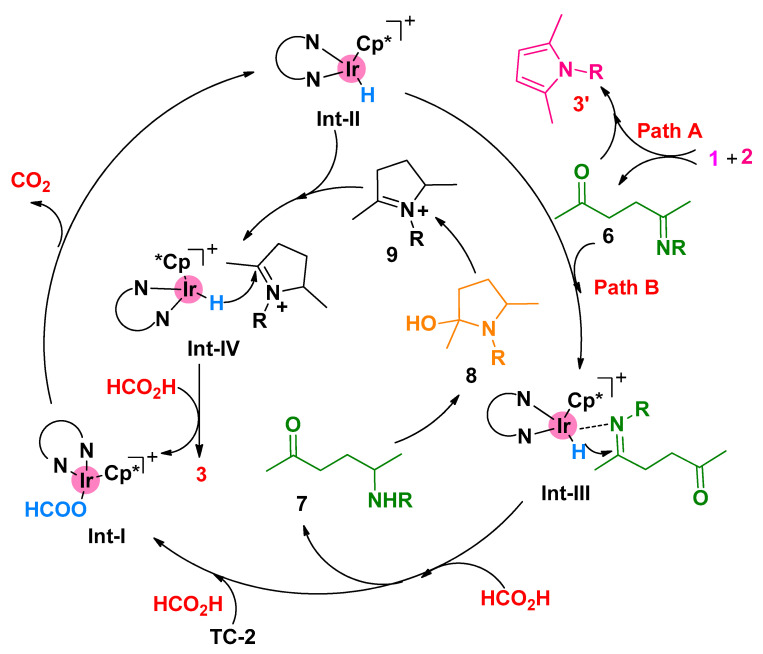 Scheme 7