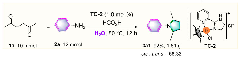 Scheme 5