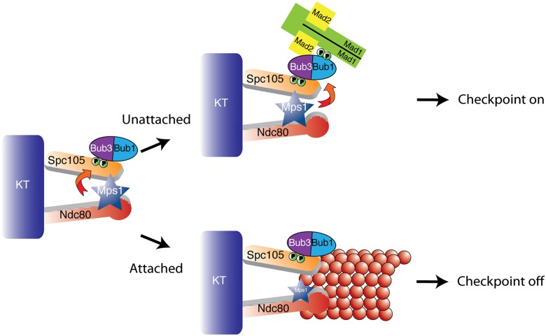 Figure 7.