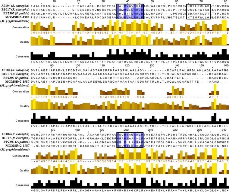 FIG 6