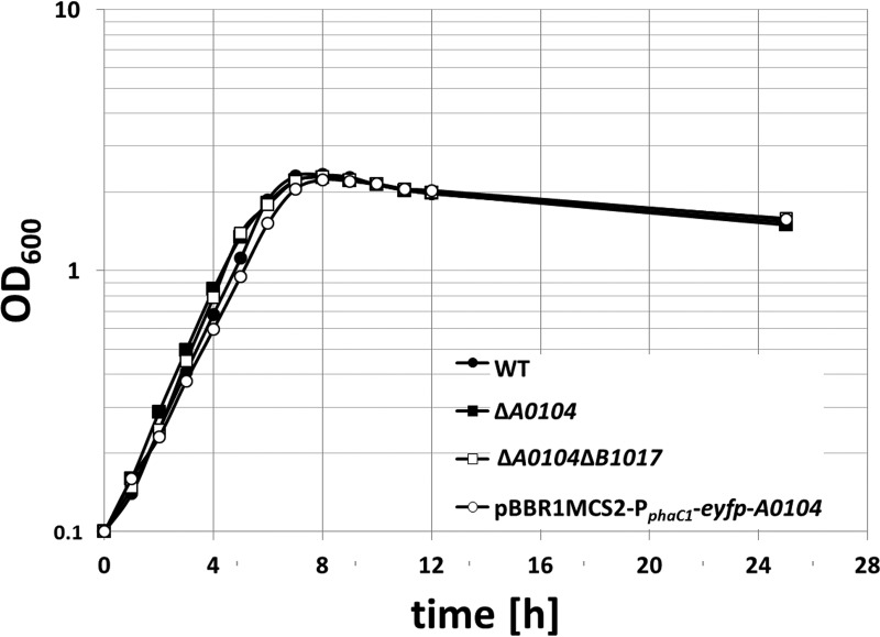 FIG 4