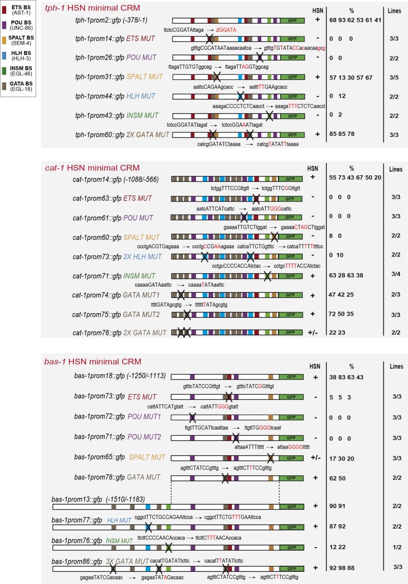 Figure 5—figure supplement 1.