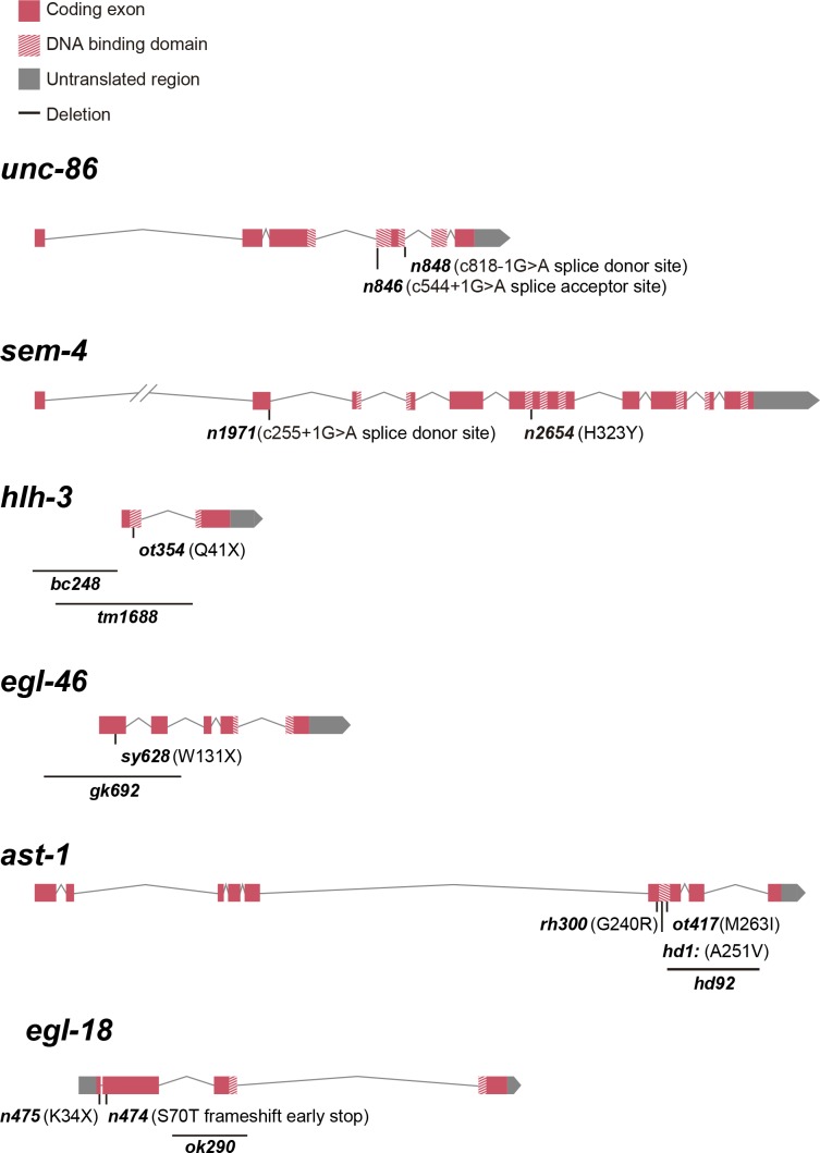 Figure 1—figure supplement 2.