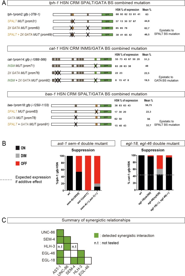 Figure 6—figure supplement 1.