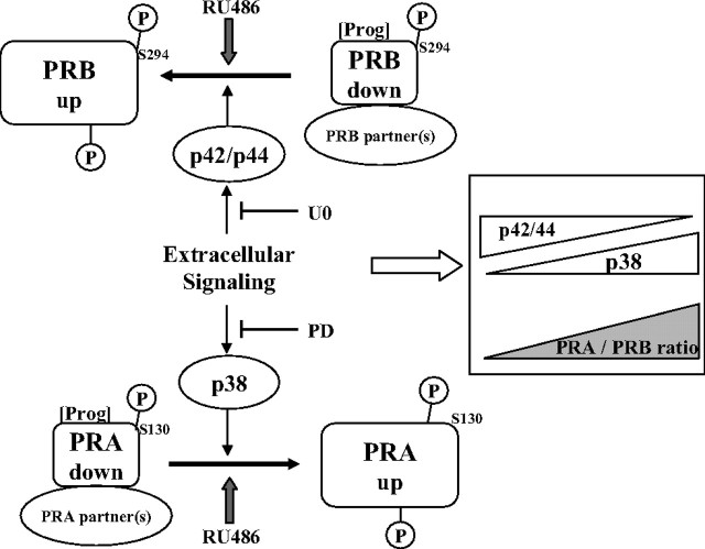 Fig. 9.