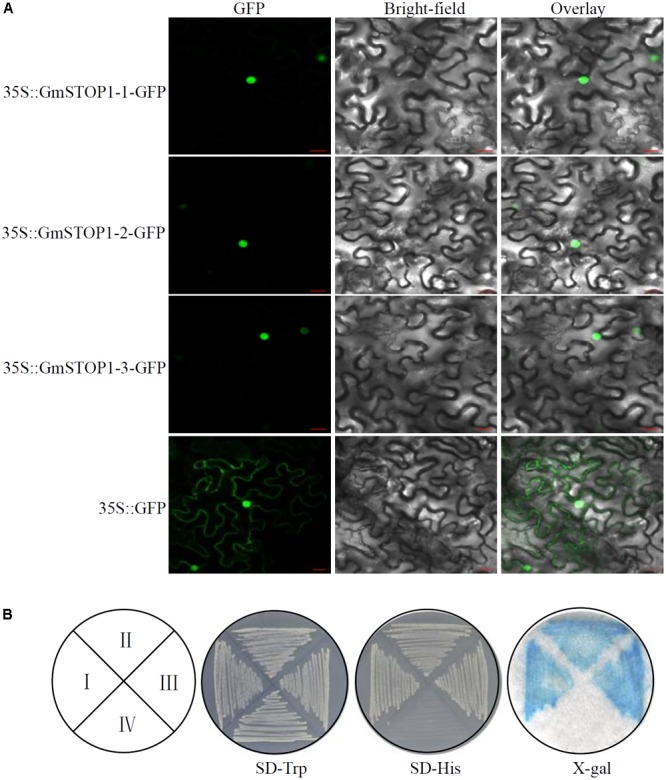 FIGURE 2